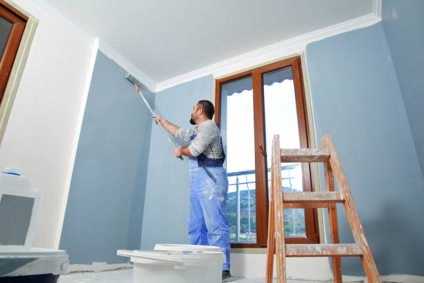 Best Drywall Removal and Disposal  in La Crosse, WI